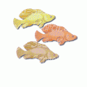 Pastel Fish Trio