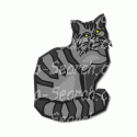 Grey Tiger Cat
