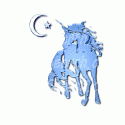 Blue Unicorn At Night