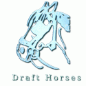 Blue Draft Horse