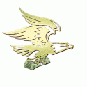 Eagle with Money