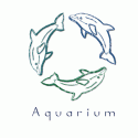 Aquarium or Swim Team