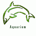 Aquarium Dolphin