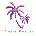 Tropical Palm Paradise
