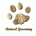 Animal Grooming