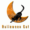 Halloween Cat with Moon