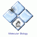 Molecular Biology Microscope