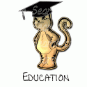 Graduating Cat