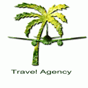 Travel Agency Plane and Palm