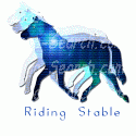 Horseback Riding Stable