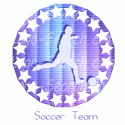 Soccer Team Star
