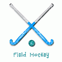 Field Hockey Sticks and Ball