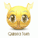 Quidditch Team