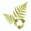 Fern and Recycle Symbol