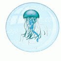 Jellyfish in a Bubble
