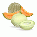 Cantelope and Melon