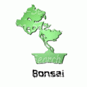 Green Bonsai Tree