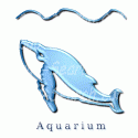 Aquarium Resident