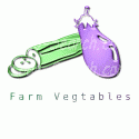 Farm Fresh Veggies