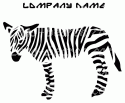 Striped Zebra