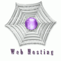 Web Hosting Spiderweb