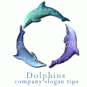 Ring of Dolphin
