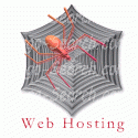 Web Hosting Spider
