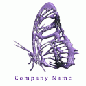 Purple Winged Butterfly