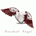 Baseball Wings