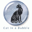 Black Cat in a Bubble