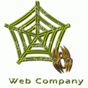 Web Company