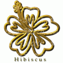 Flowering Hibiscus