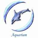 Aquarium Whale