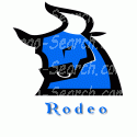 Bull  Rodeo