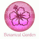 Hibiscus Botanical Garden