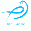 Bird Watching Design