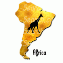 Africa Giraffe