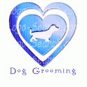 Dog Grooming Daschund