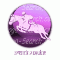 Eventing Equine