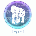 Elephant Design