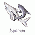 Sharks in Aquarium