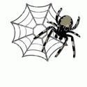 Tarantula with Web