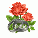 Rose and Rings