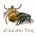 Flea and Tick