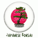 Japanese Bonsai