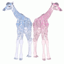 Pink and Blue Giraffes