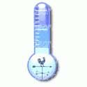 Weathervane Thermometer