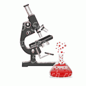 Beaker with Microscope