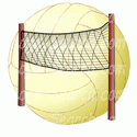 Volleyball and Net