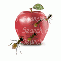 Apple with Marching Ants